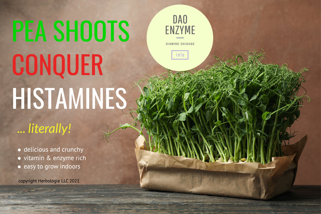 PEA SPROUTS FOR FOOD SENSITIVITIES AND ALLERGIES